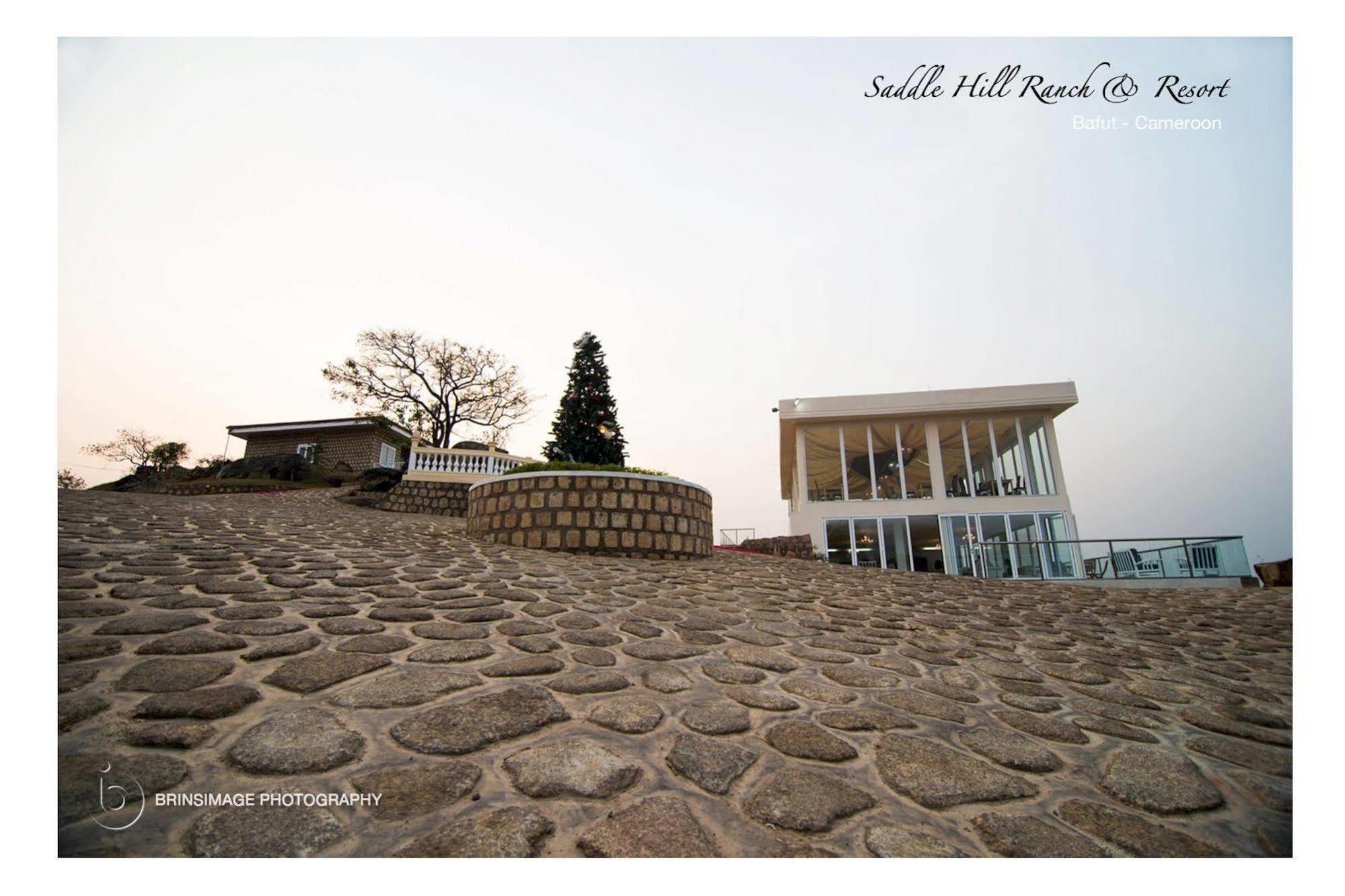 Saddle Hill Ranch Hotel Bafut Ngoại thất bức ảnh